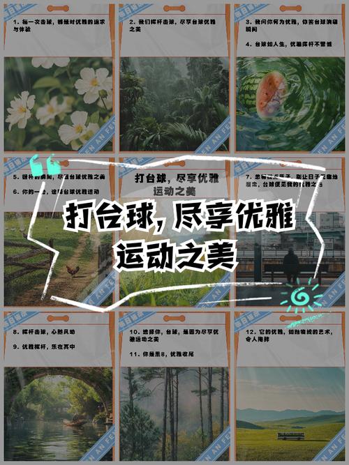 <strong>九博体育官网入口</strong>:一站式体育赛事资讯平台,尽享精彩瞬间